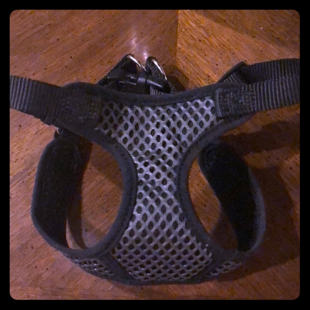 Mesh X-small dog harness